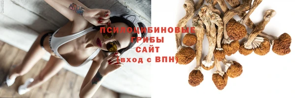 бошки Кинешма