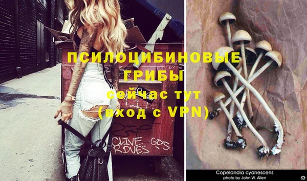 a pvp Киренск