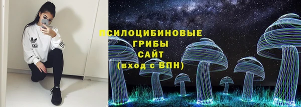 бошки Кинешма