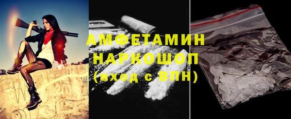 крисы Козельск