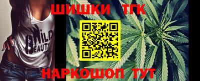 крисы Кингисепп