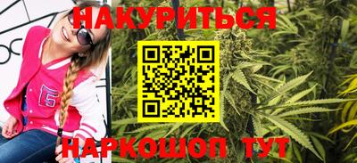 крисы Кингисепп