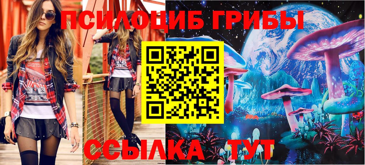 Галлюциногенные грибы Psilocybine cubensis Южноуральск