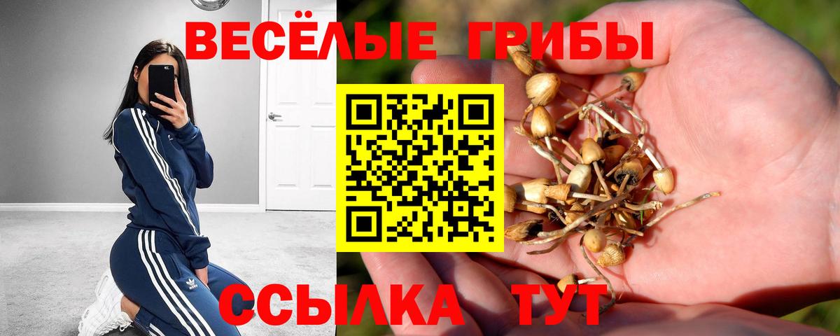 Псилоцибиновые грибы ЛСД  Галлюциногенные грибы Magic Shrooms  Южноуральск  Вход с VPN 
