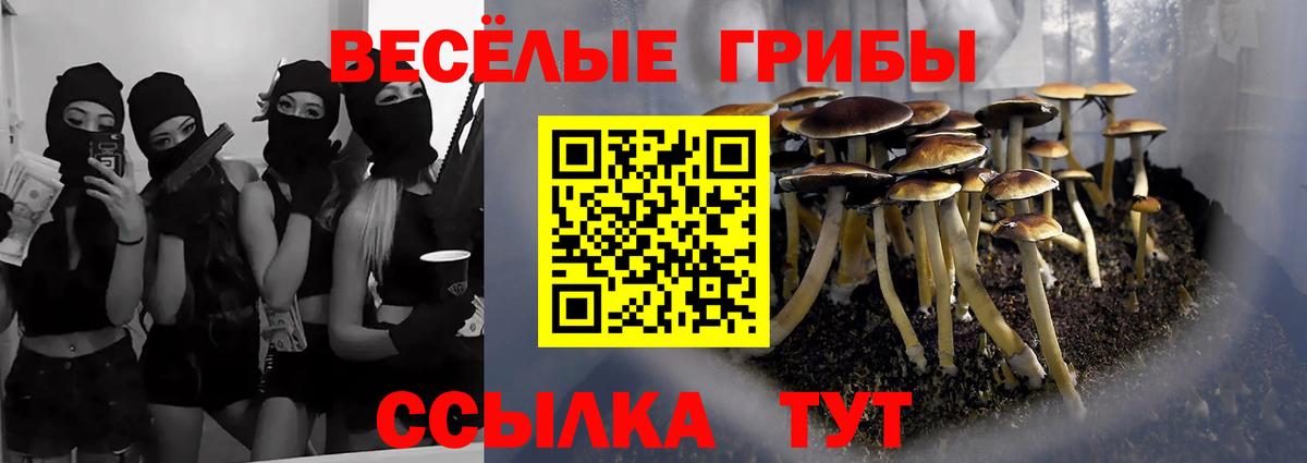 Галлюциногенные грибы ЛСД  Южноуральск  Галлюциногенные грибы прущие грибы 